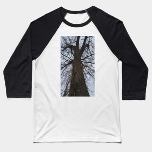 Winter Oak Baseball T-Shirt